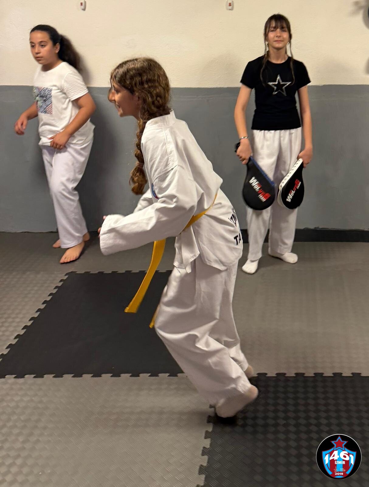 Taekwondo